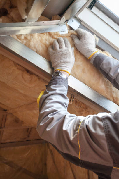 Types of Insulation We Offer in Miami Springs, FL