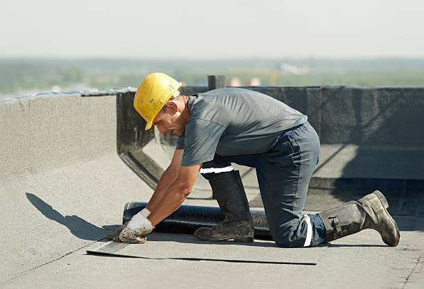 Best Residential Insulation in Miami Springs, FL