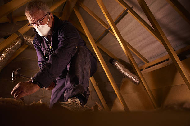 Best Cellulose Insulation in Miami Springs, FL
